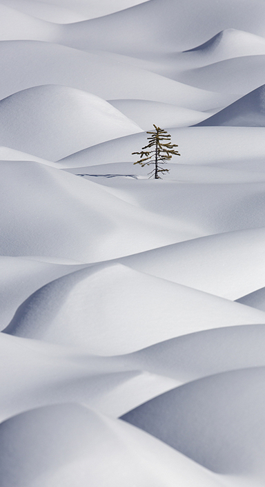 首页-PA集团有限公司官网入口