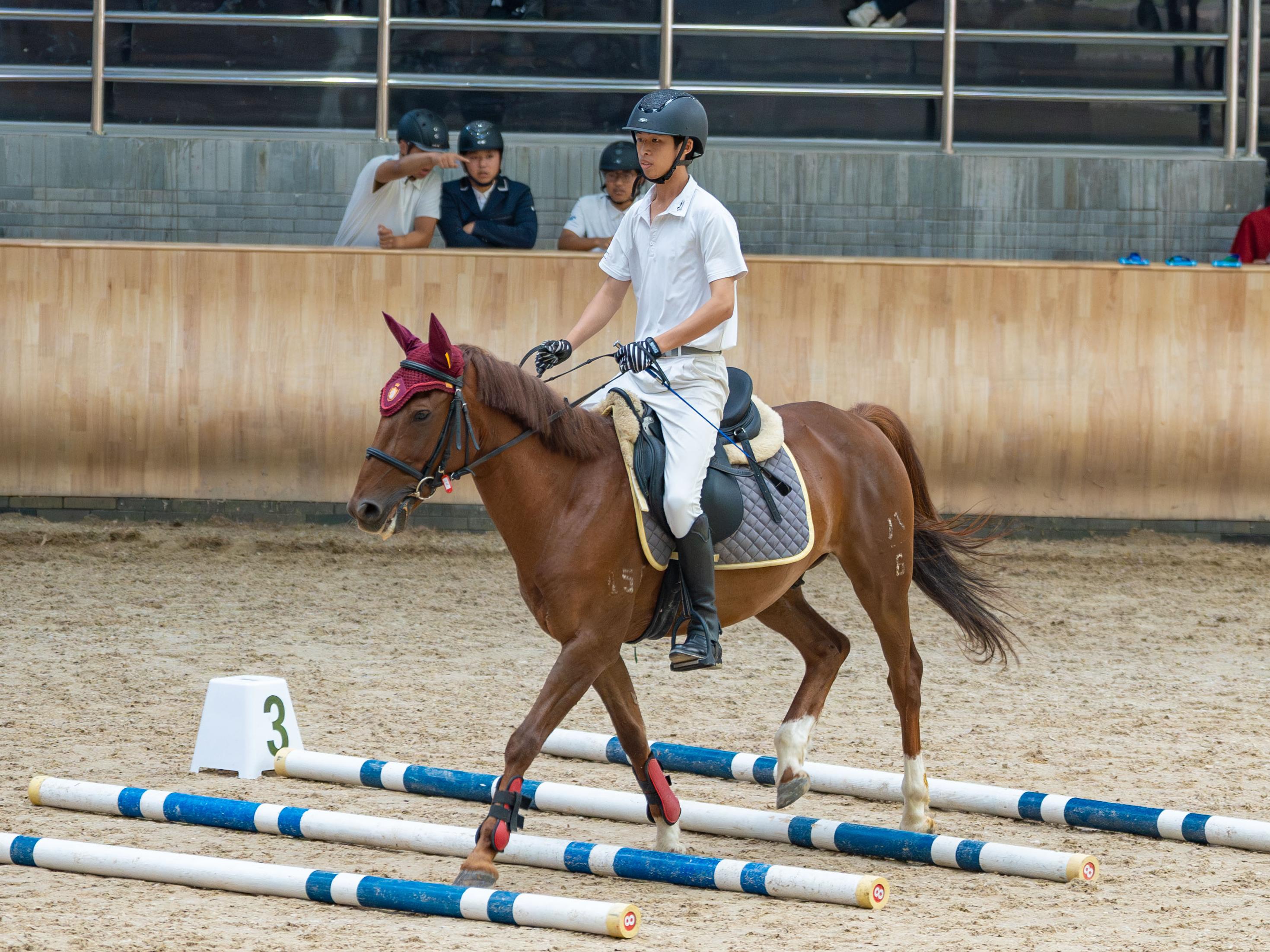 pg电子游戏试玩(中国)官方网站